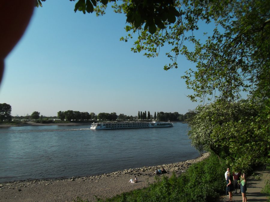 Flusskreuzfahrtschiff auf dem Rhein bei Düsseldorf